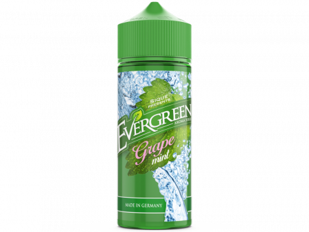 Evergreen-Longfill-Grape-Mint-1000x750.png